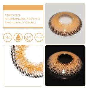 Unibling Himalaya Brown (1-Year)