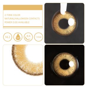 Unibling Dubai Brown (1-Year)